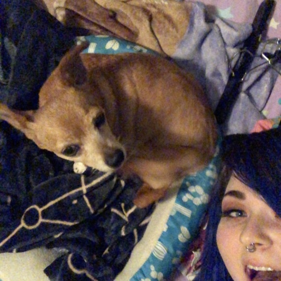 Meet your Posher, Rae - Picture 6 of 11